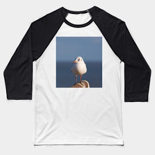 Black Headed Gull Baseball T-Shirt